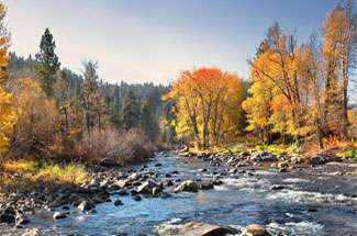 Prosser Area