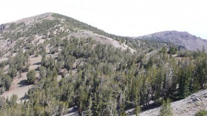 Mt. Houghton: A New Mountain to climb