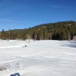 Meadow Skate Skiing