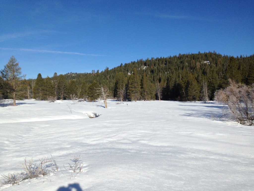 Meadow Skate Skiing Lake Tahoe Homes for Sale, North Lake Tahoe Real