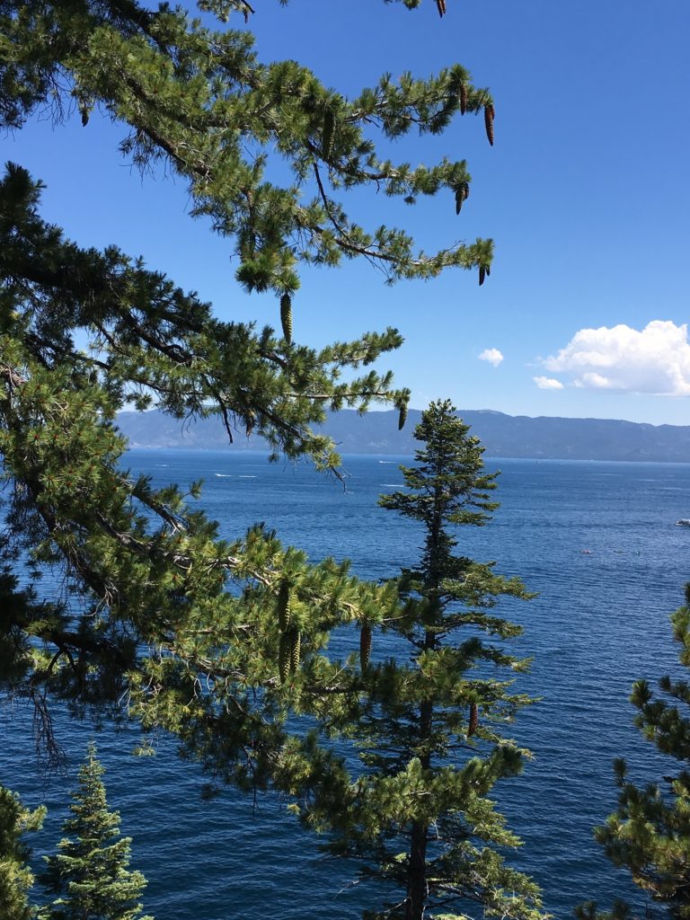 The Rubicon Trail Lake Tahoe Homes for Sale, North Lake Tahoe Real