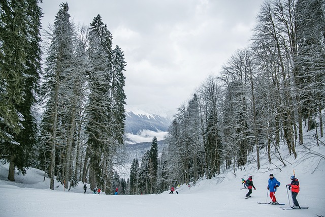 skiers in canyon