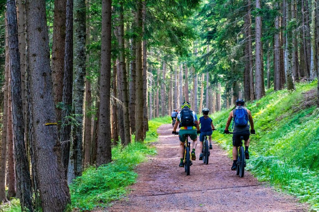 biking in forest