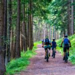 biking in forest