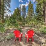 two chairs in forest